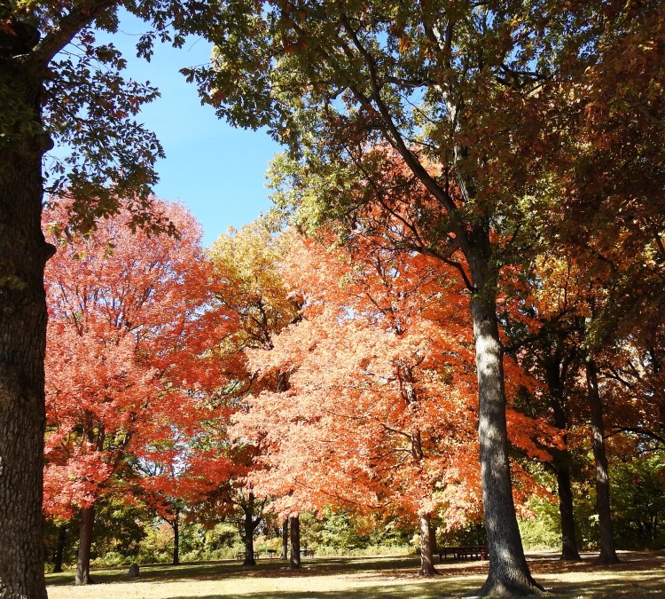City County Park (Princeton,&nbspIL)